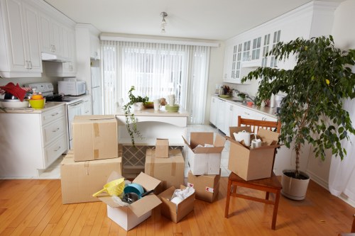 Office removals planning in Pimlico with boxes and moving team