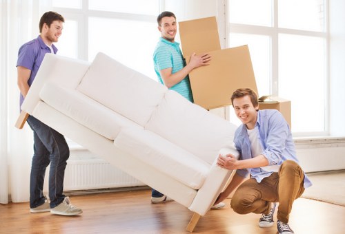 Professional Man With Van Pimlico support for business and office transport