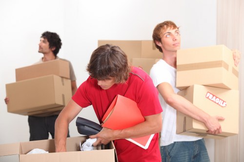 Professional van moving service near Pimlico homes
