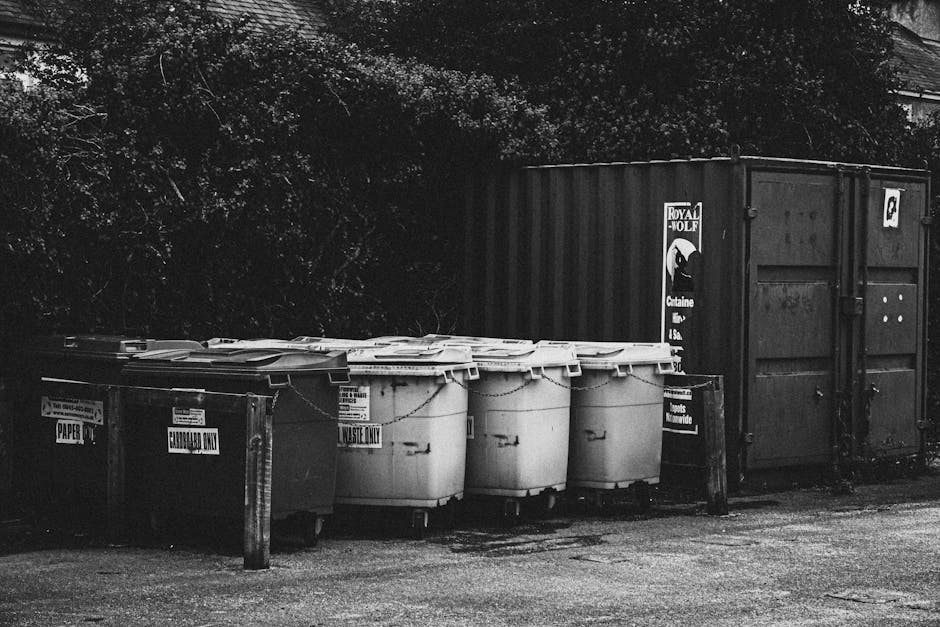 A black and white image showing a row of four large white wheelie bins with closed lids, placed on a paved surface in front of a dark metal storage container. To the left, there are two smaller bins labeled 'PAPER' and 'CARDBOARD ONLY', positioned behind a wooden bollard. The bins are situated near a dense treeline or bushes in the background. The scene appears to be outside a residential property, possibly during a home relocation or move process, with the bins used for waste disposal following a move. The overall setting is well-lit with natural daytime light, emphasizing the materials and objects involved in household waste management, which is part of the post-move clearance process. The company's name, Man with Van Pimlico, operates in removals and related services, including waste disposal duties after a Pimlico move.
