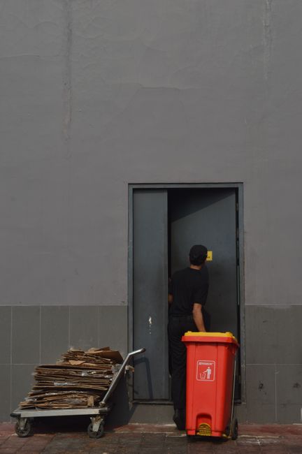 A black and white image showing a row of four large white wheelie bins with closed lids, placed on a paved surface in front of a dark metal storage container. To the left, there are two smaller bins labeled 'PAPER' and 'CARDBOARD ONLY', positioned behind a wooden bollard. The bins are situated near a dense treeline or bushes in the background. The scene appears to be outside a residential property, possibly during a home relocation or move process, with the bins used for waste disposal following a move. The overall setting is well-lit with natural daytime light, emphasizing the materials and objects involved in household waste management, which is part of the post-move clearance process. The company's name, Man with Van Pimlico, operates in removals and related services, including waste disposal duties after a Pimlico move.